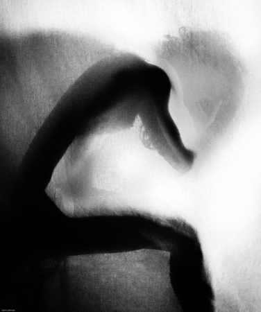 Nude Obscura-2